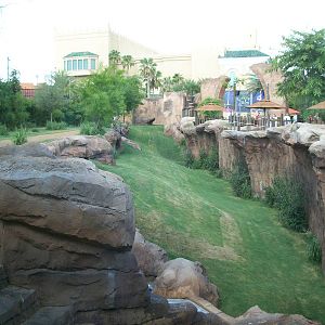 Cheetah Run Exhibit