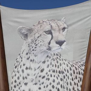 Cheetah Run Banner