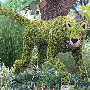 Cheetah Run Topiary