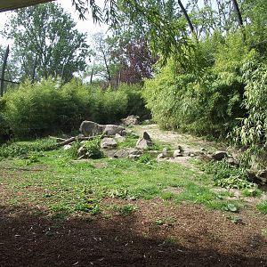 sumatran tiger exhibit 070511
