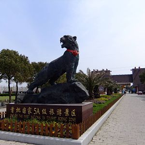 Entrance - Tiger Statue