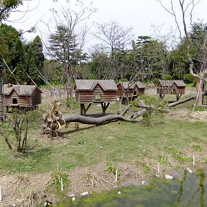 Squirrel Monkey Exnibit