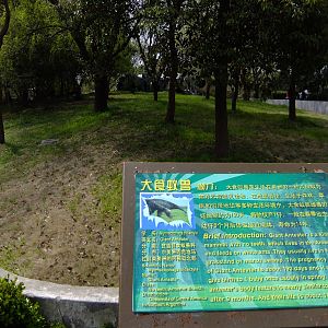 Giant Anteater Exhibit