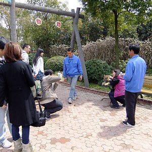Photographing with Tiger Cub