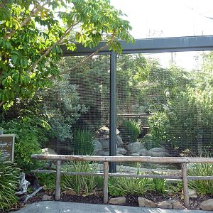 Walk-Through African Aviary (7 Species)