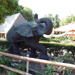 Elephant Statue