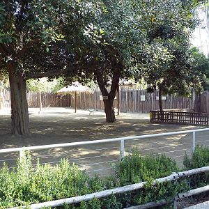 Petting Kraal (Goats)