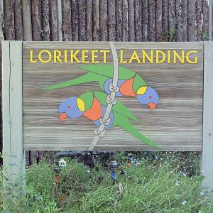 Lorikeet Landing Sign