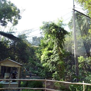 Lorikeet Landing Walk-Through Aviary