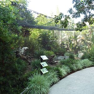 African Aviary (4 Species)