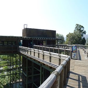 Great Rift Lift Elevator