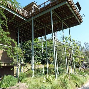 Great Rift Lift Elevator