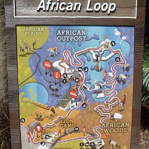African Loop Map