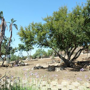 Giant Eland/Red-Fronted Gazelle Exhibit