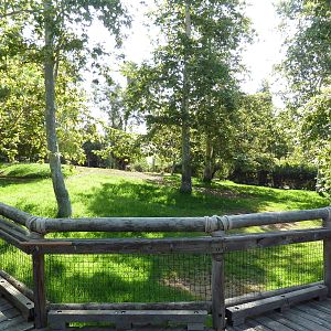 Gerenuk/Red-Flanked Duiker/Kori Bustard/Demoiselle Crane Exhibit
