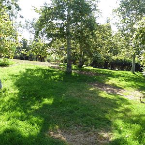 Gerenuk/Red-Flanked Duiker/Kori Bustard/Demoiselle Crane Exhibit