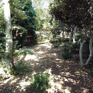 East African Crowned Crane Exhibit