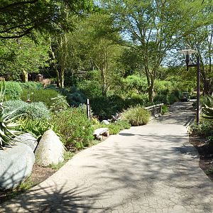 Typically Beautiful Pathway