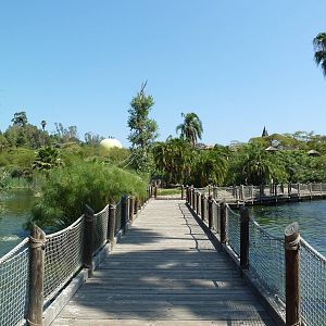 Greater Flamingo Lagoon - Boardwalk