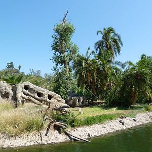 Colobus Monkey Island