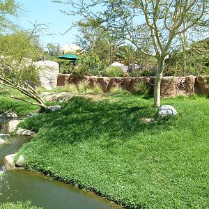 African Exhibit (5 Species)