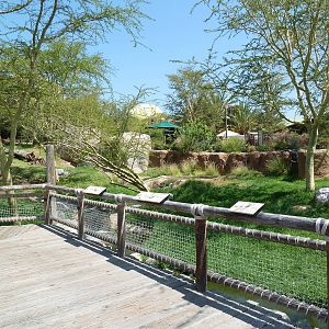 African Exhibit (5 Species)