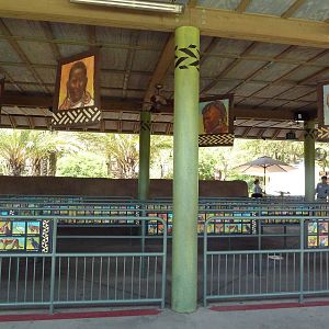 Africa Tram - Station