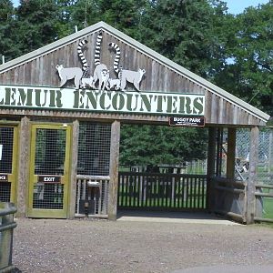 Lemur Walk-through  - 03.08.2011