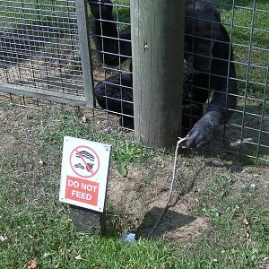 Jill Using a Stick to get a Dropped Receipt - 03.08.2011