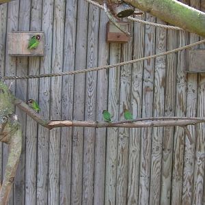 Farm Yard Corner 03.08.2011