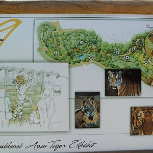 Southeast Asia Tiger Exhibit