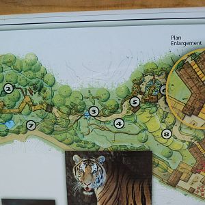 Southeast Asia Tiger Exhibit