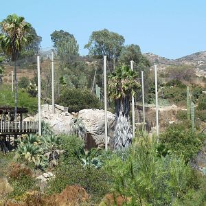 Condor Ridge - California Condor Exhibit