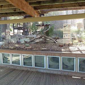 Condor Ridge - Black-Tailed Prairie Dog/Porcupine Exhibit