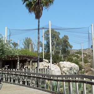 Condor Ridge - California Condor Exhibit