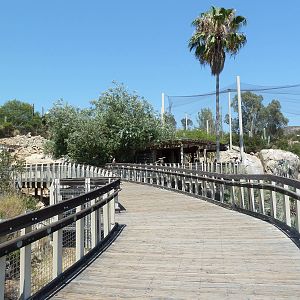 Condor Ridge - California Condor Exhibit