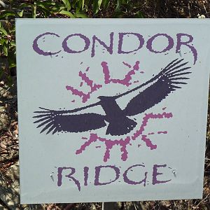 Condor Ridge Sign