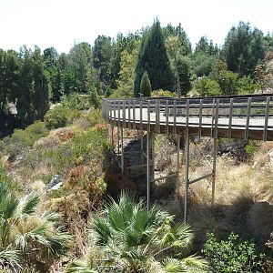 Condor Ridge - Boardwalk