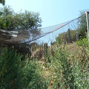 Condor Ridge - Small Animal Exhibit (3 Species)