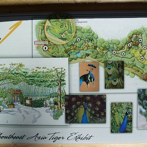 Southeast Asia Tiger Exhibit