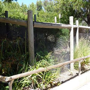 Discovery Station - Roadrunner Exhibit