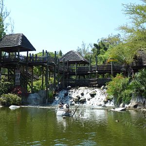 Congo River Fishing Village