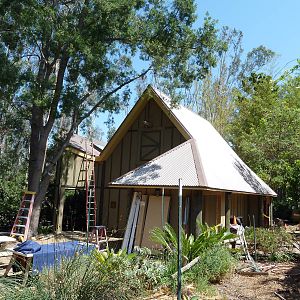 Future Exhibit In 2011 - Flying Foxes