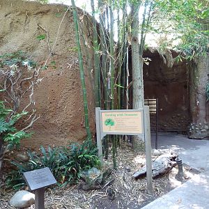 Hidden Jungle - Cave Entrance