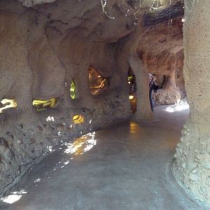 Hidden Jungle - Terrariums