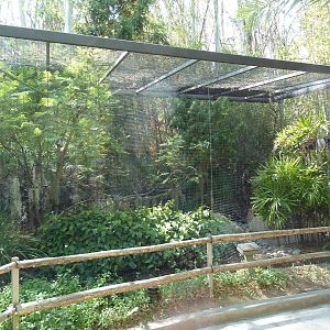 Von Der Decken's Hornbill/Buff-Crested Bustard Exhibit