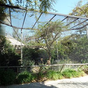 Bird Aviary (3 Species)