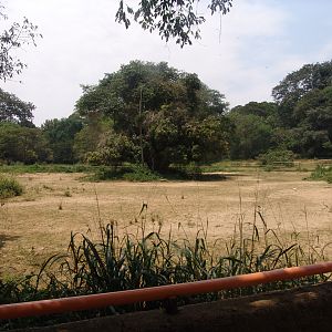 White Rhino's enclosure