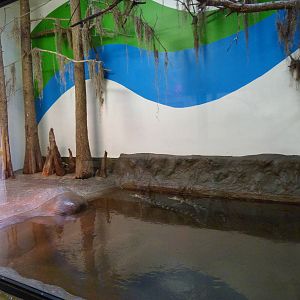 Crocodile Exhibit
