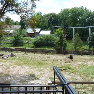 Bison Exhibit w/Black Bear Exhibit in Background